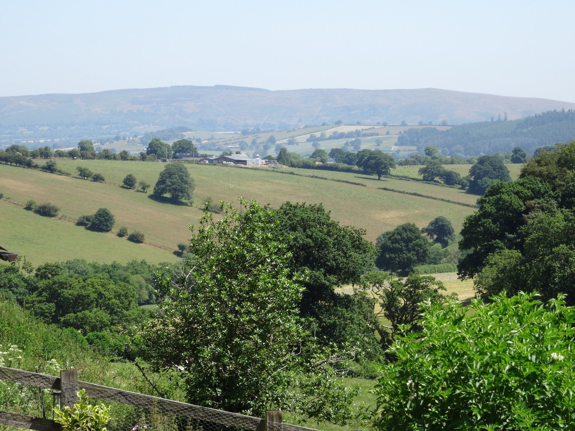 Rolling green hills with scattered trees, a farm in the distance, and a hazy mountain range.