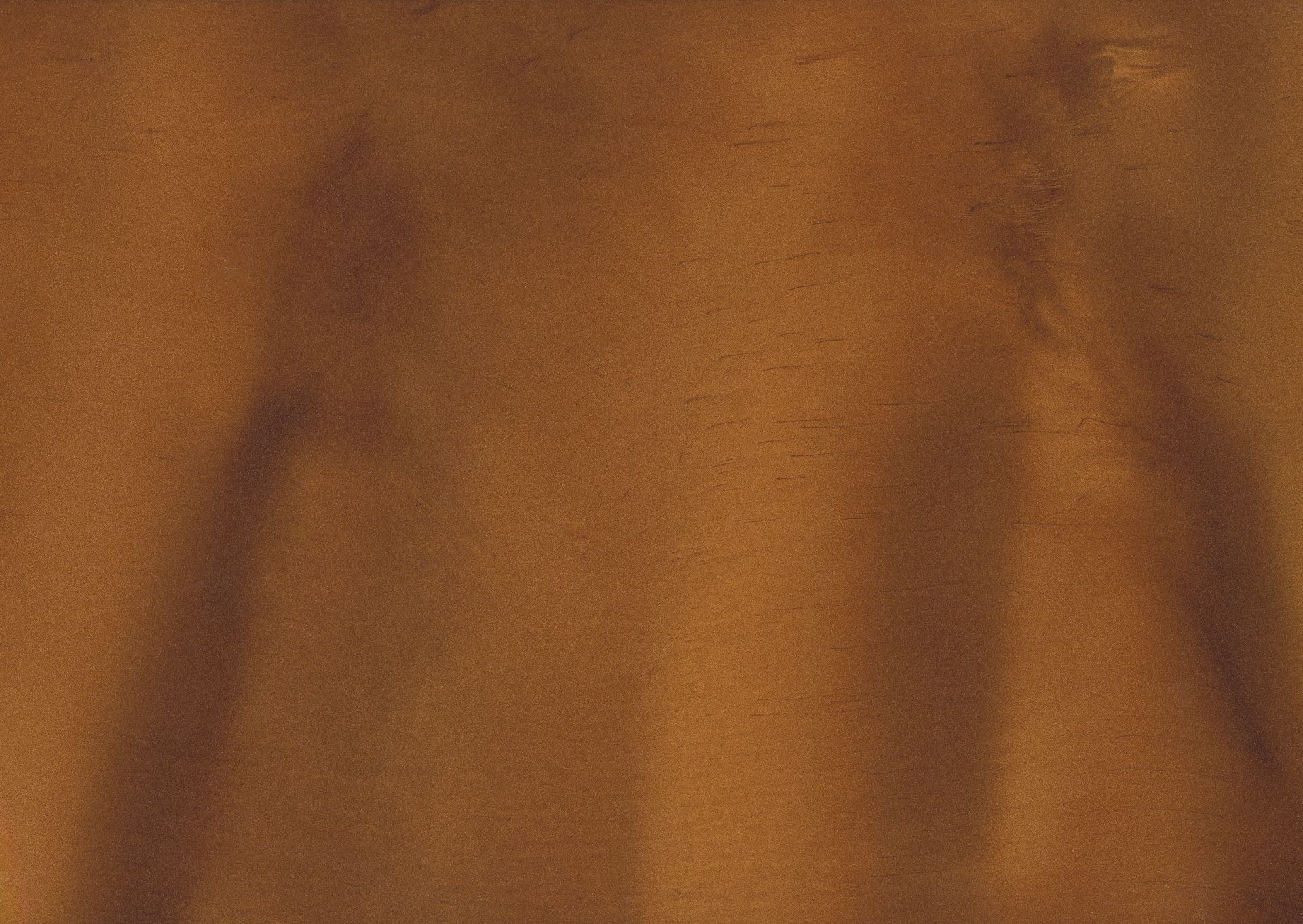 Brown textured background with vertical dark shadows on each side.