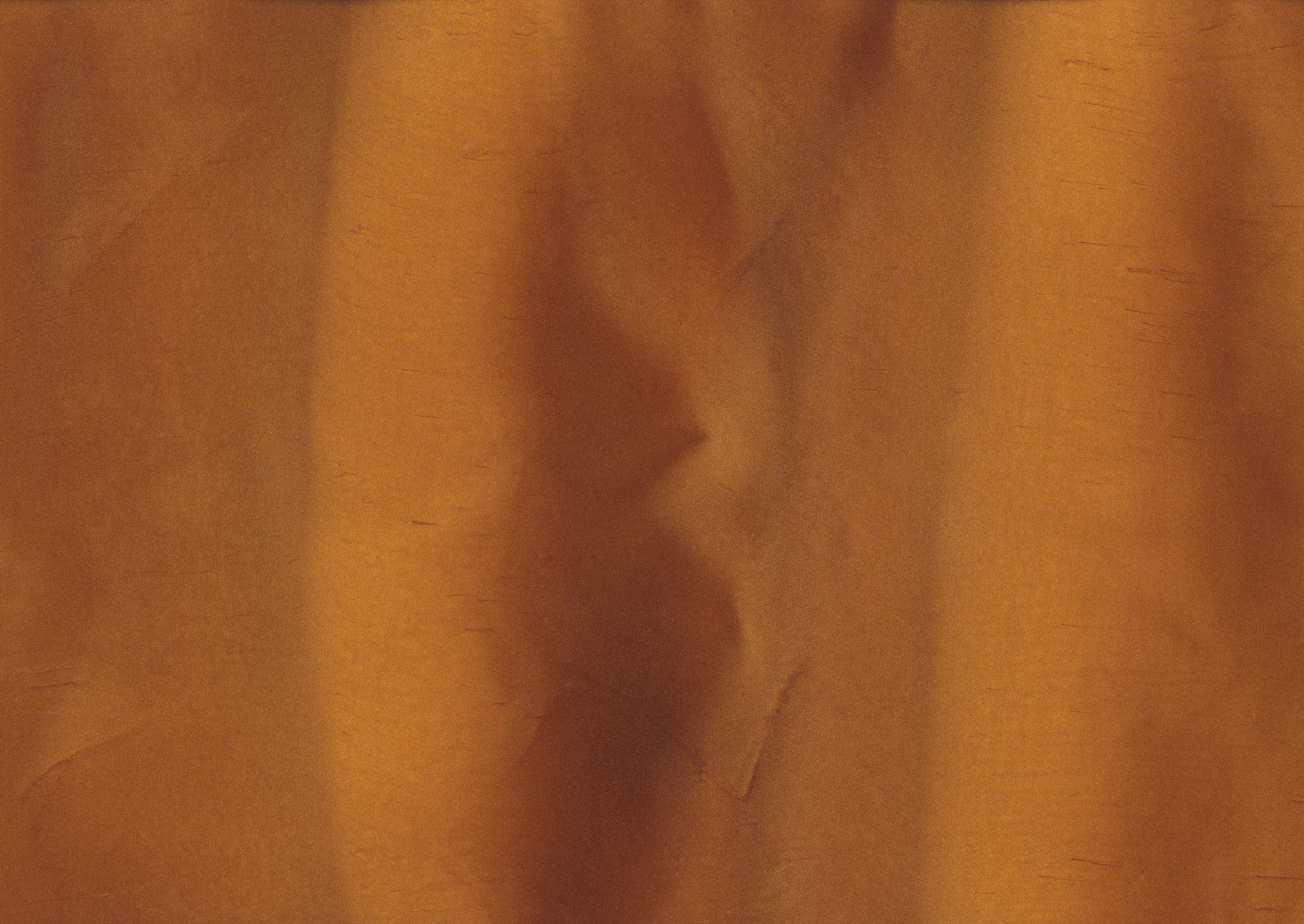 Close-up of a golden-brown fabric with vertical folds creating shadows and highlights.
