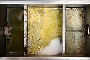 grease trap services
