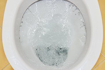 toilet drains