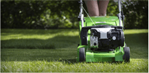 Manutenzione verde cura di giardini, cura del verde, taglio prati