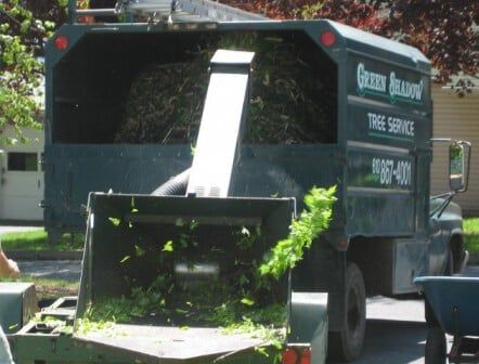 Tree Trimming — tree care in Bethlehem, PA