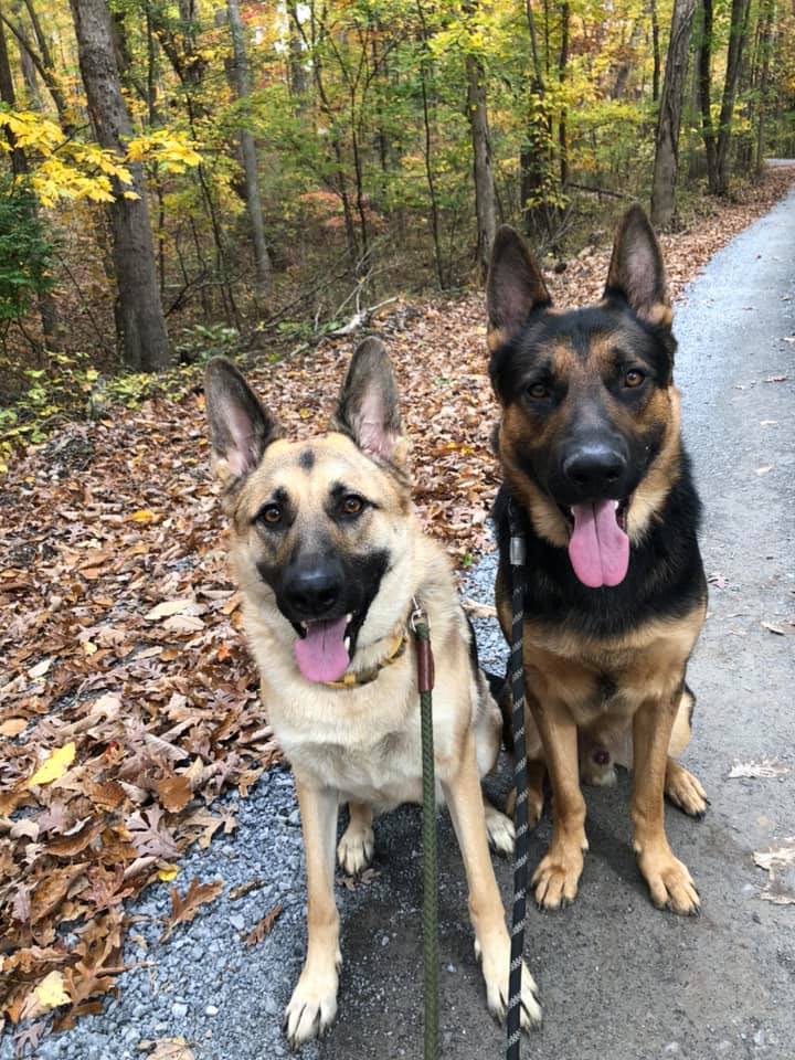 tri_state_pet_gallery_photo_49