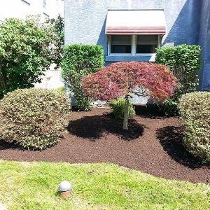 Residential Services