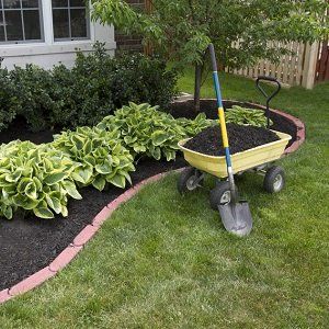 Enhance Your Yard