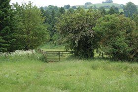 Open grassland - Balscote, Banbury - Balscote DIY Livery Stables - Grazing land Open grassland - Balscote, Banbury - Balscote DIY Livery Stables - Grazing land