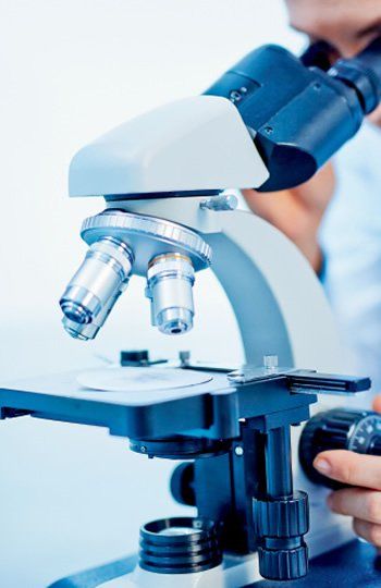 microscopio