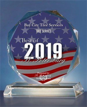 Bay City Tree Services 