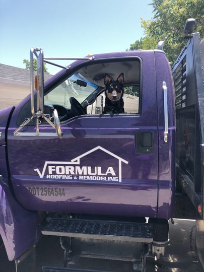 A dog is sticking its head out of a purple Formula Roofing truck