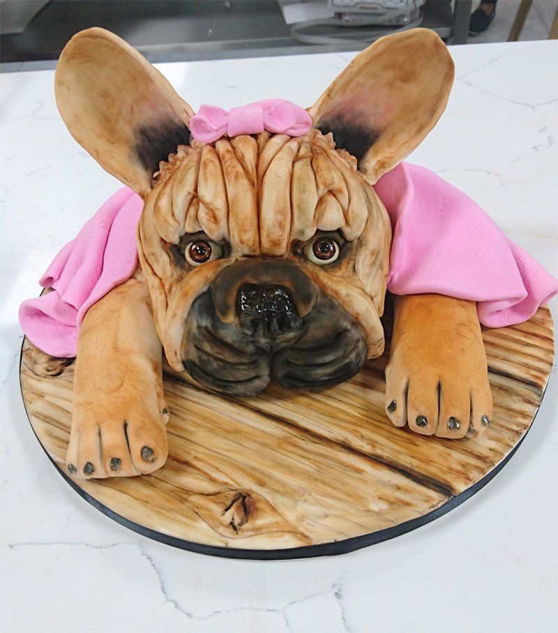 16 French bulldog cake