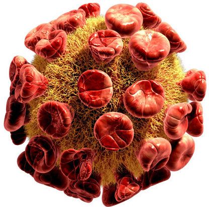 Detailed 3d medical illustration of viruses and bacteria isolated on white background