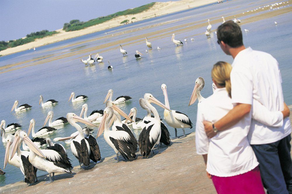 couple looking at wildlife