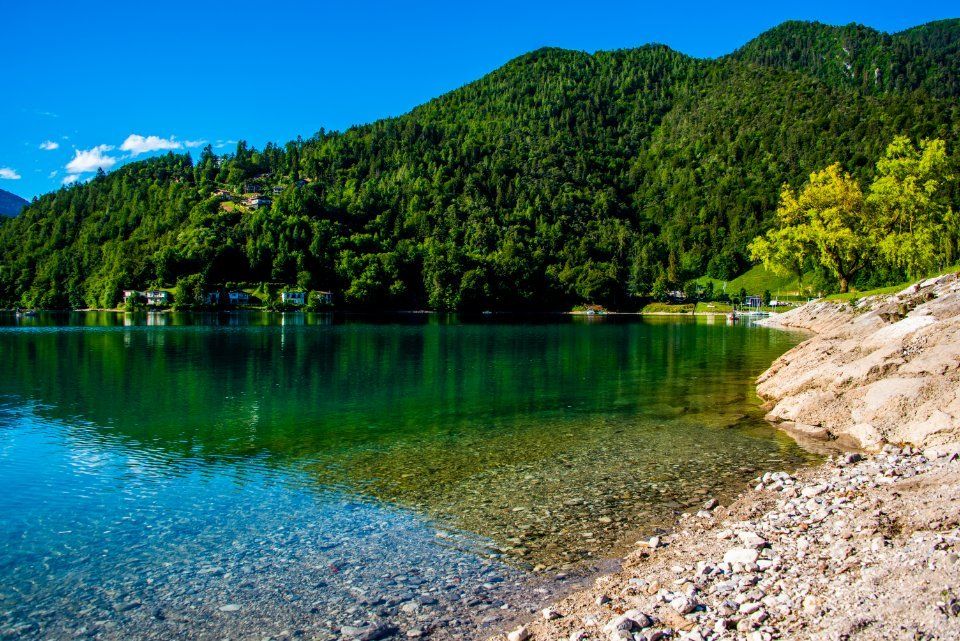 Ledrosee