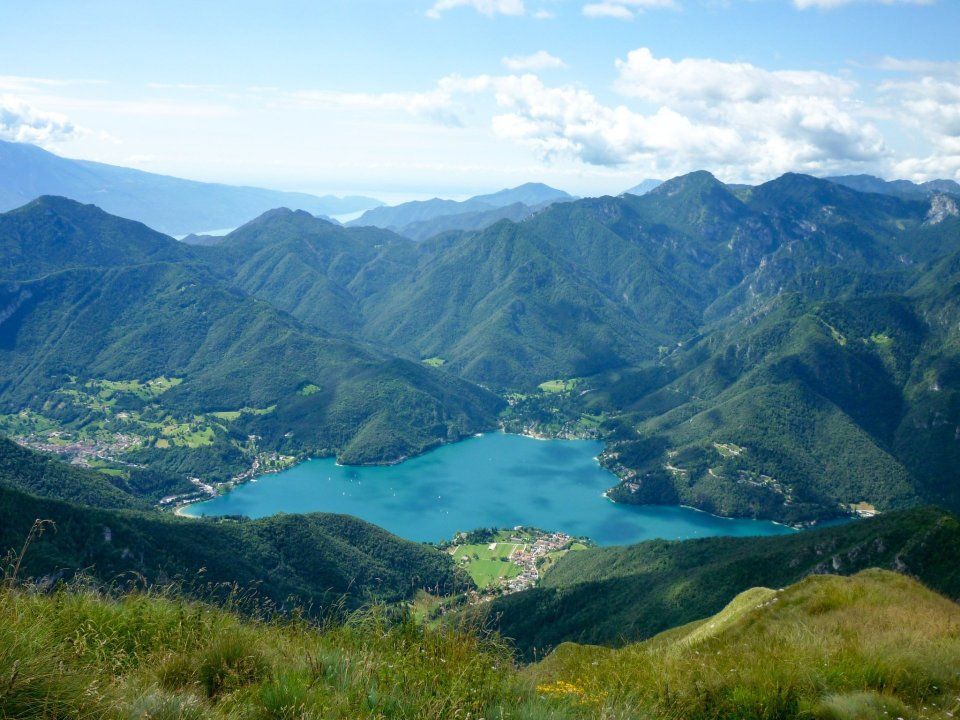 Ledrosee