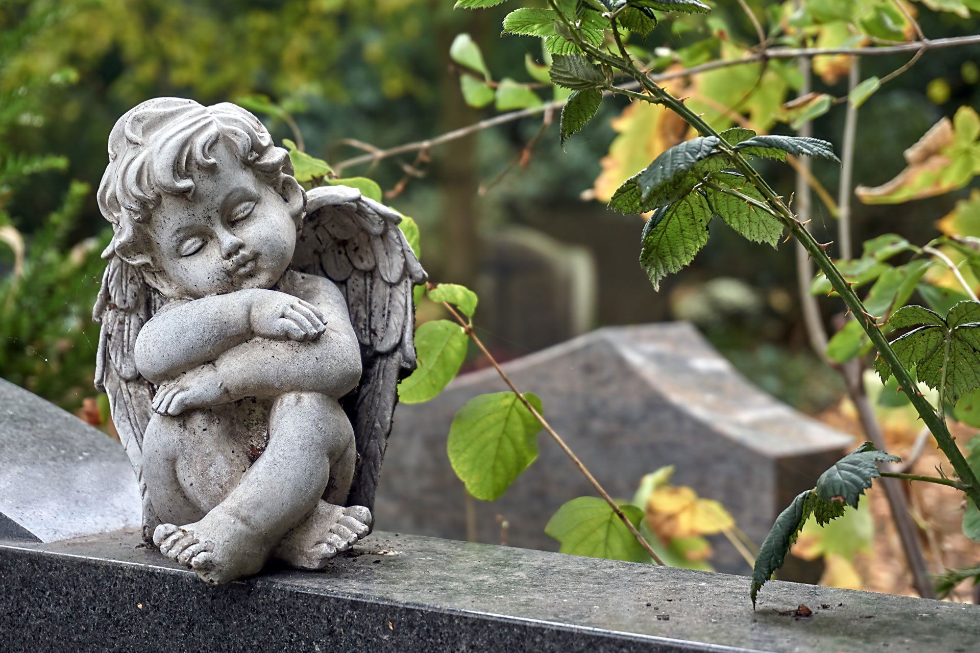Arte funeraria