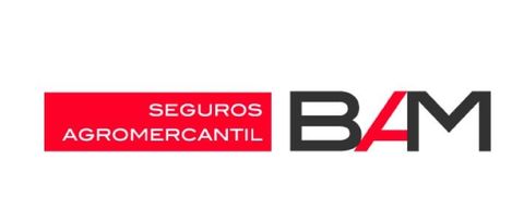 Dr. Marco Bocaletti - BAM