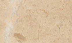 Cream polished Tile