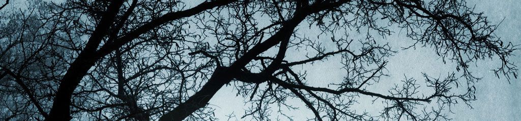 Branching out
