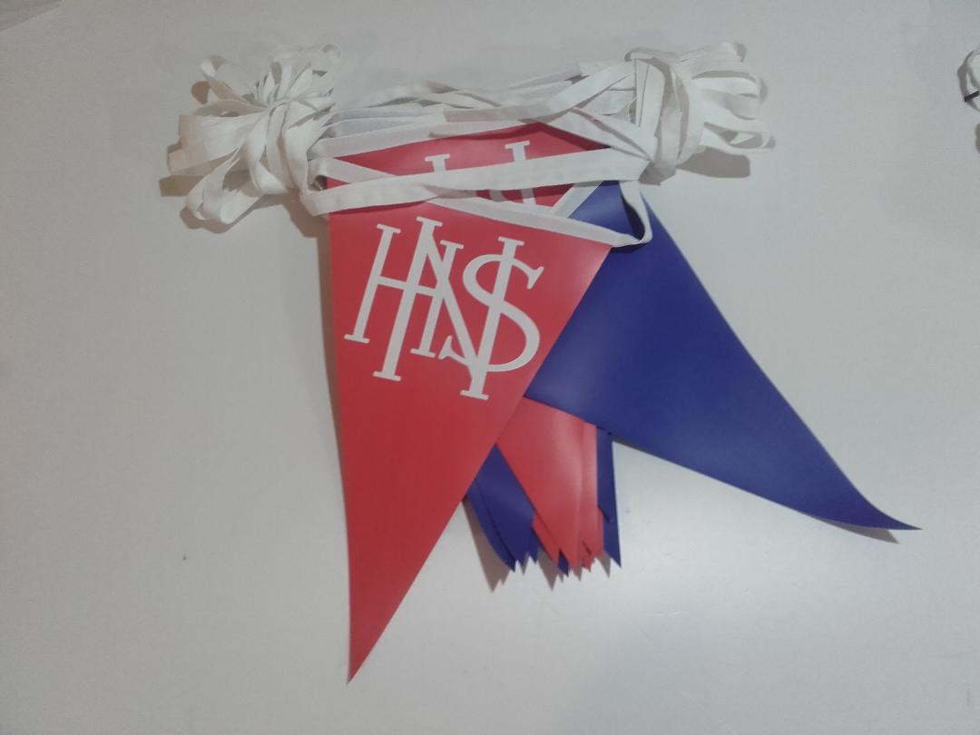 Et rødt og blåt flag med bogstaverne hns på