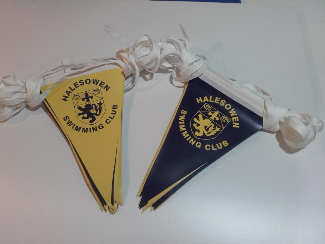 To flag med ordene Halesworth svømmeklub på dem