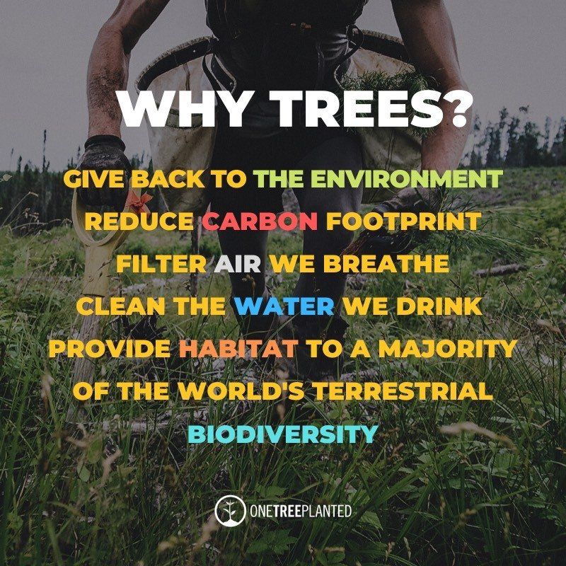 A poster that says why trees give back to the environment