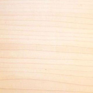 maple wood sample