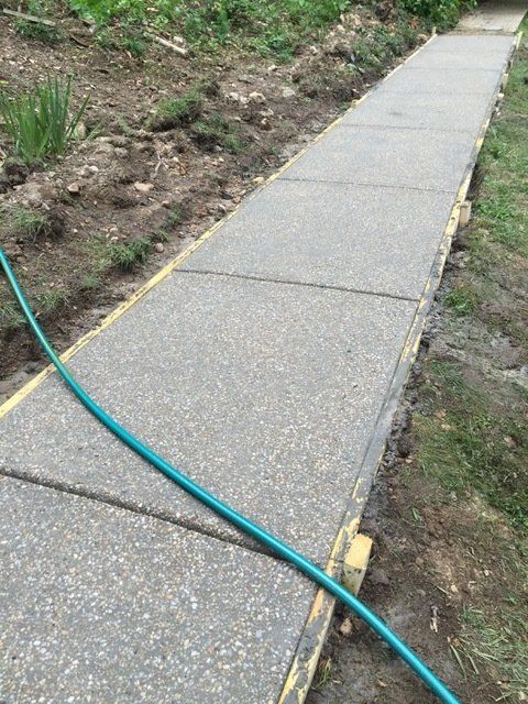 Concrete walkway with green hose.