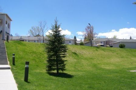 External view of large grassy hill adjacent to apartment buildings