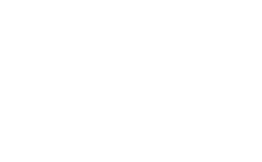 skip icon