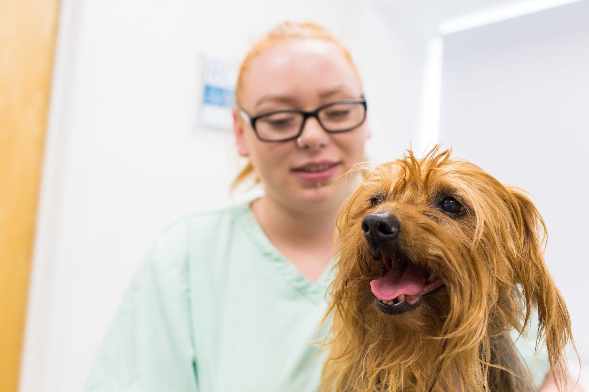 Nursing Clinics at Jurassic Vets