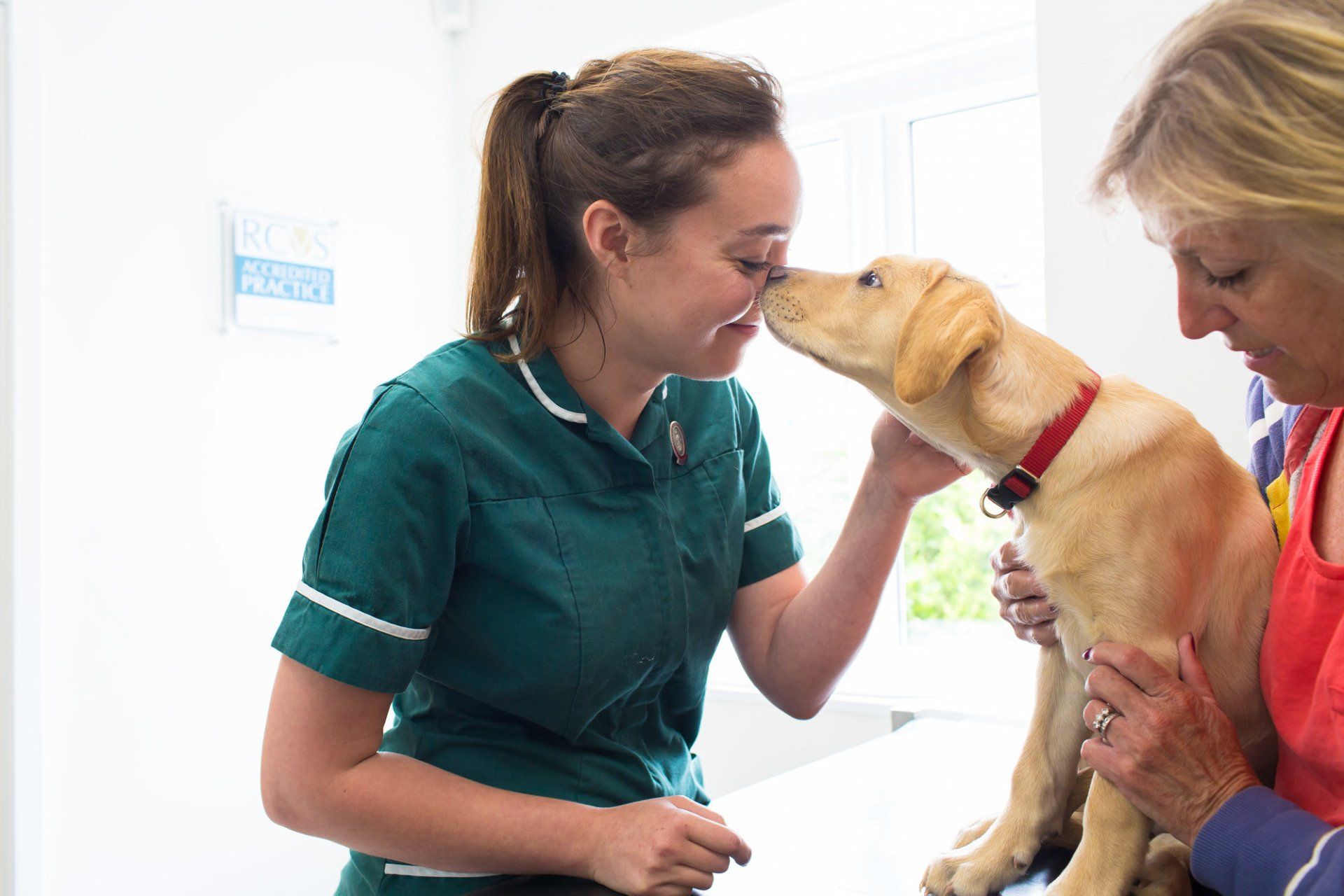 Pet Health Care Plan