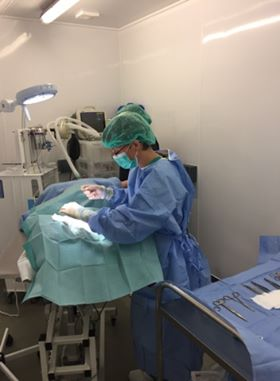 vet theatre 