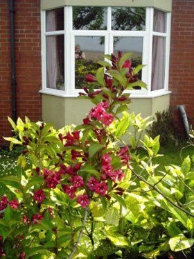 Care homes - Knott End-on-Sea, Poulton-le-Fylde - St Albans Nursing Home - Wndow Care homes - Knott End-on-Sea, Poulton-le-Fylde - St Albans Nursing Home - Wndow