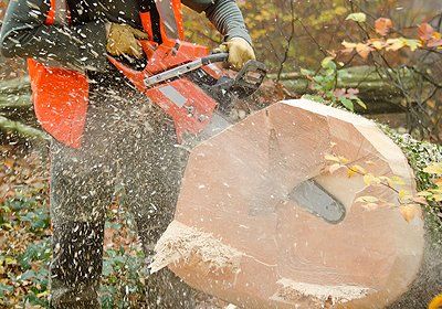 fast and safe tree stump removal