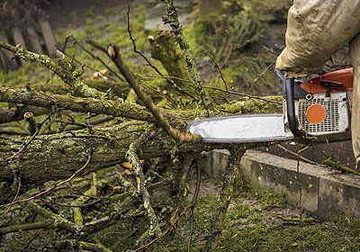 a tree cutter used for cutting branches