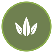leaves icon