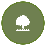 tree icon