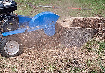 stump grinder used for grinding