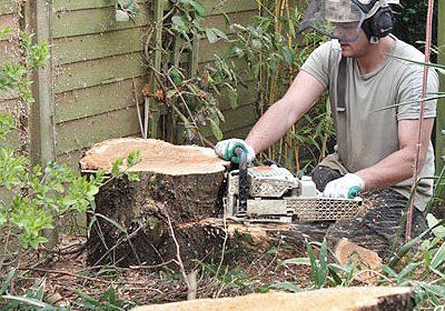 a tree surgeon removing tree stump
