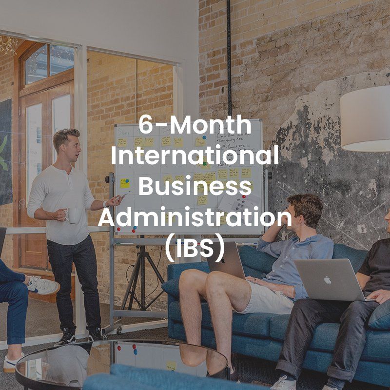 6-month International Business Administration (IBS) class in a modern office with people seated and presenting