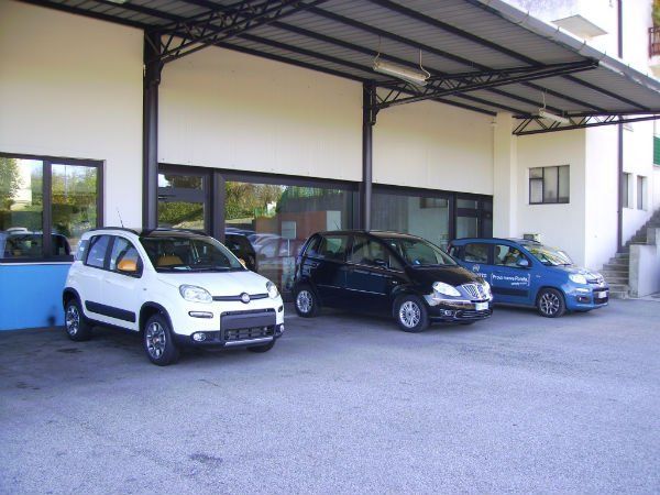 vetture fiat usate