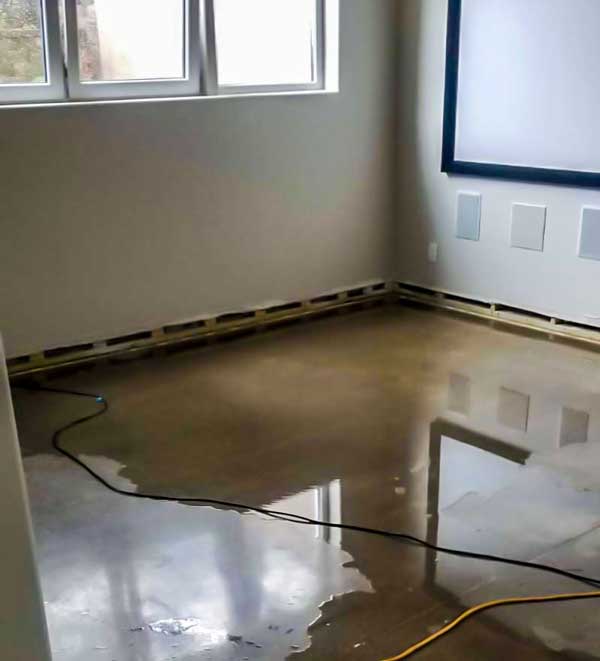 water damage inspection louisville ky