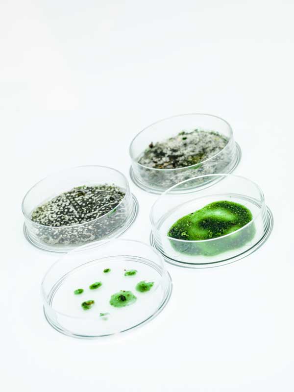 mold air quality testing louisville ky