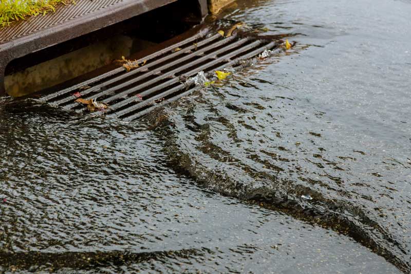 does homeowners insurance cover water damage from rain