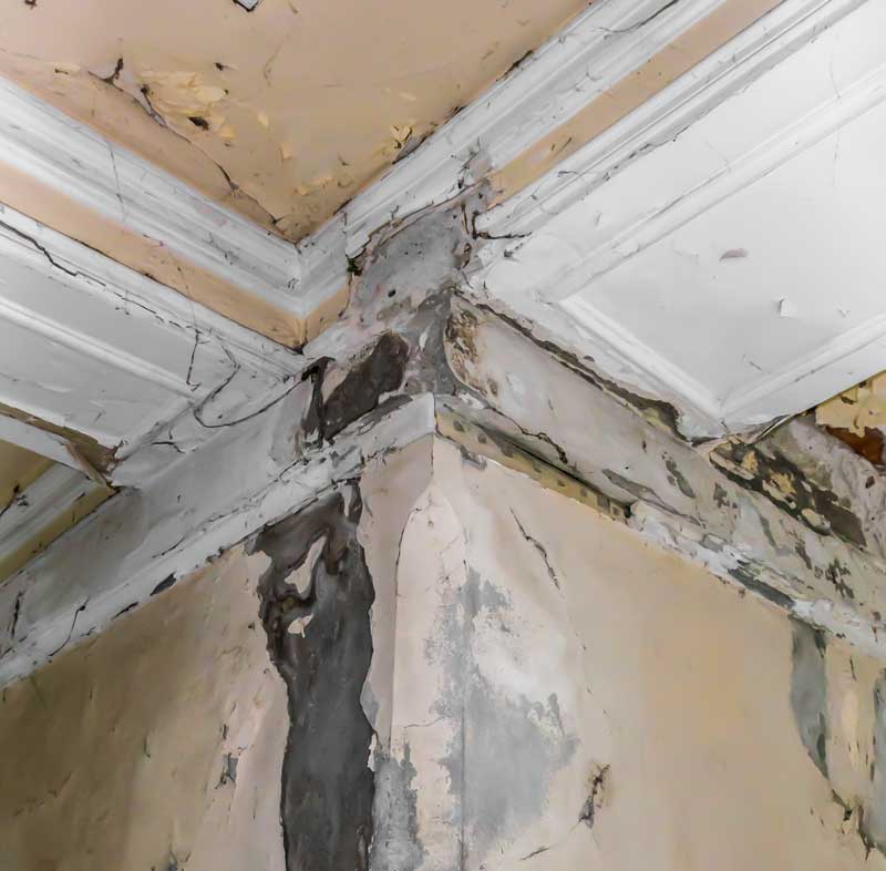 water damage restoration company louisville ky