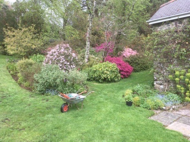 Garden Maintenance in Plymouth