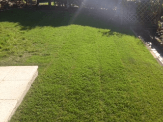 After groundworks
