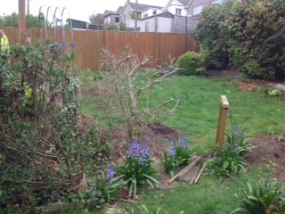 Before garden maintenance