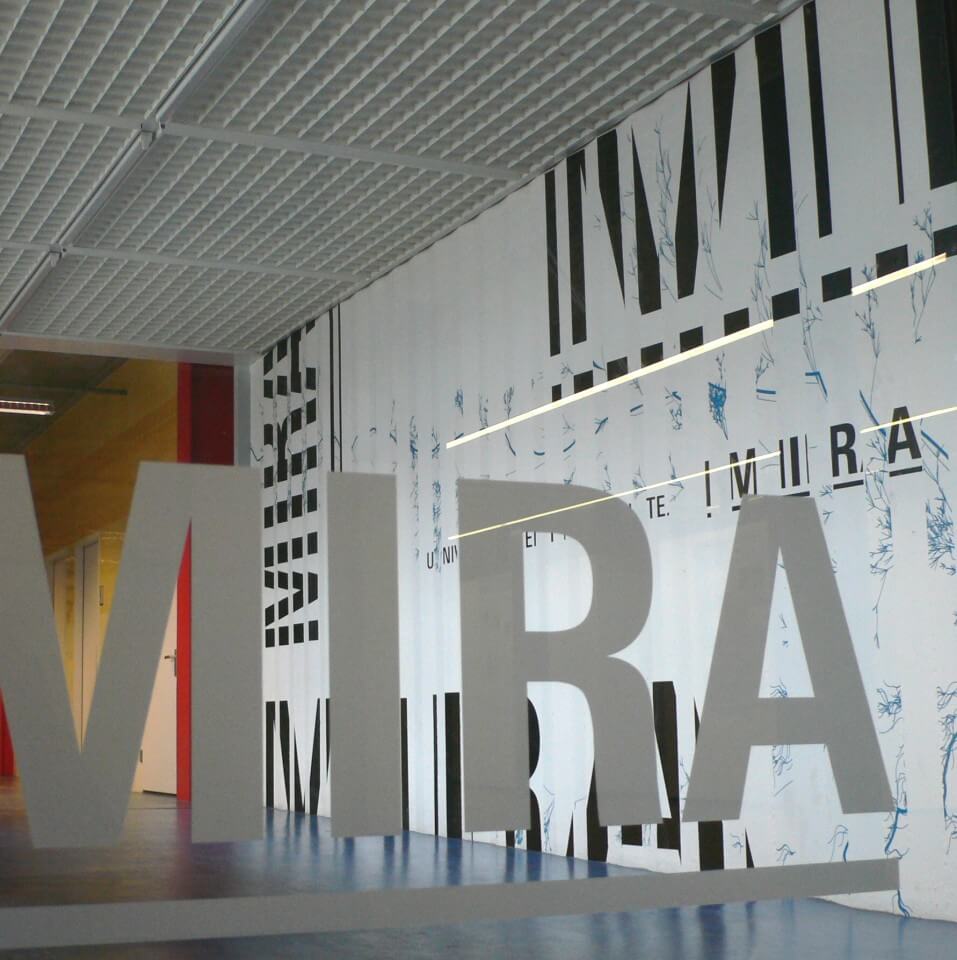 mira lleap insight